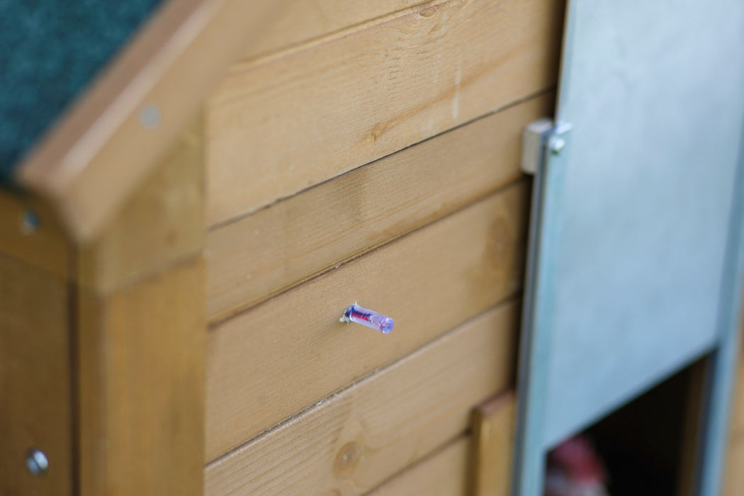 Steuerung für Automatische Hühnertür