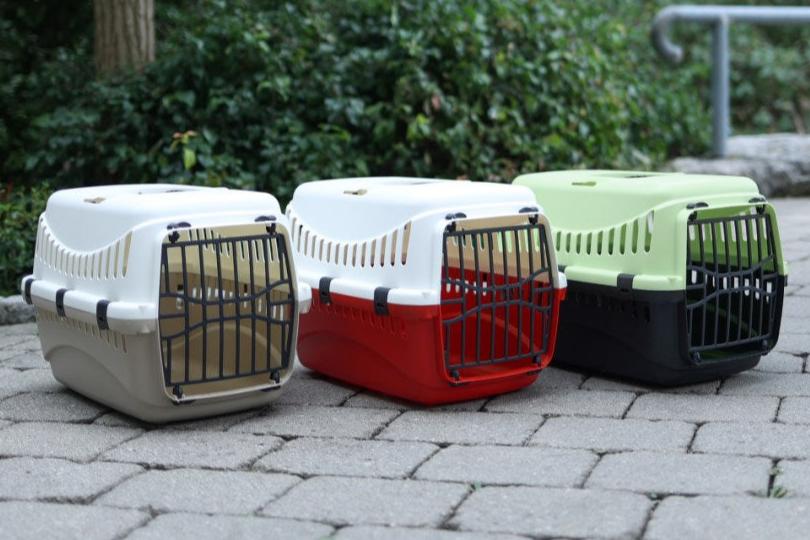 Transportbox Expedion versch. Farben/Varianten