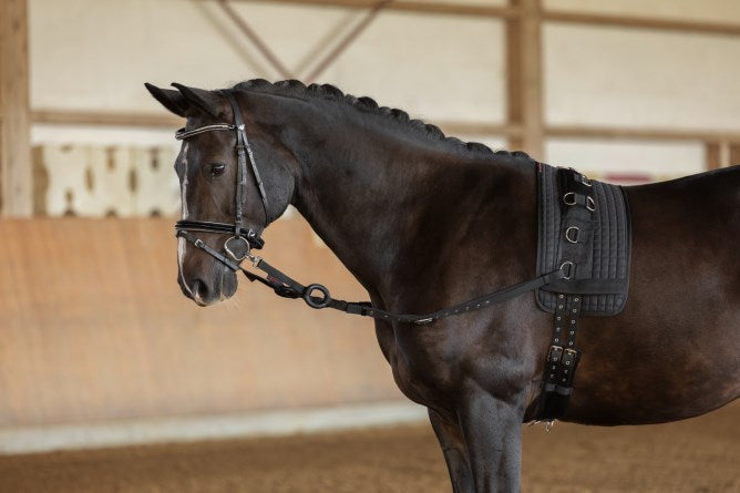 Ausbindezügel Schwarz paarweise