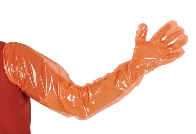 Einmalhandschuhe Vetbasic, 90cm Länge, 100 St., orange