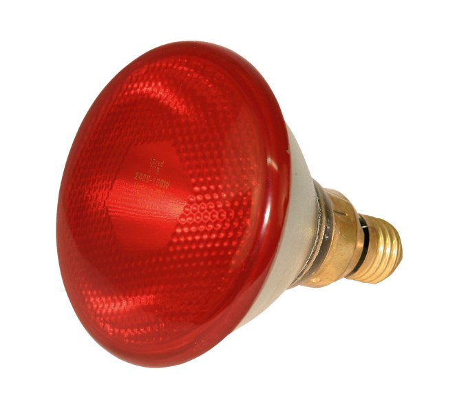 Infrarot Sparlampe 175W rot