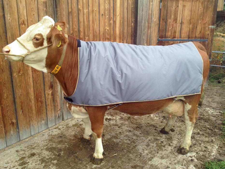 Thermodecke für Kühe