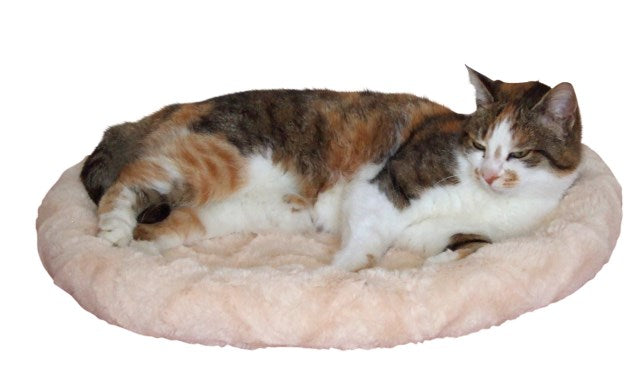 Kuschelbett - Komfort für jede Jahreszeit