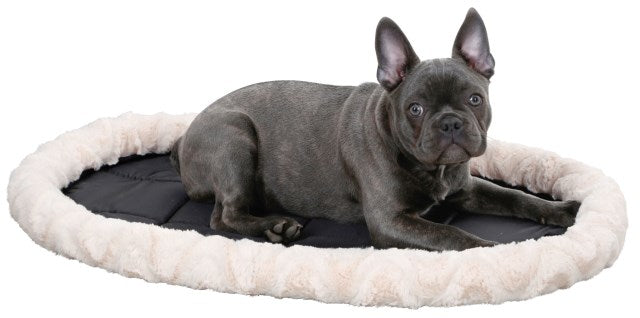 Kuschelbett - Komfort für jede Jahreszeit