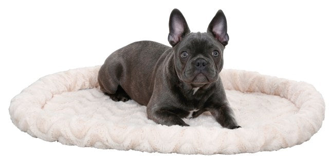 Kuschelbett - Komfort für jede Jahreszeit