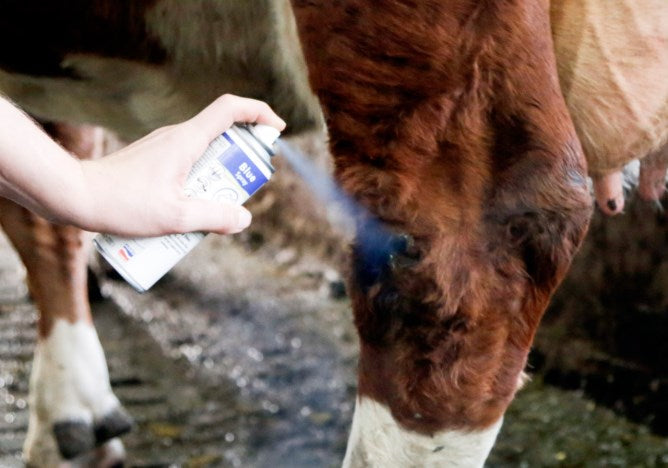 Blue Spray - Blauspray für Tiere 400ml