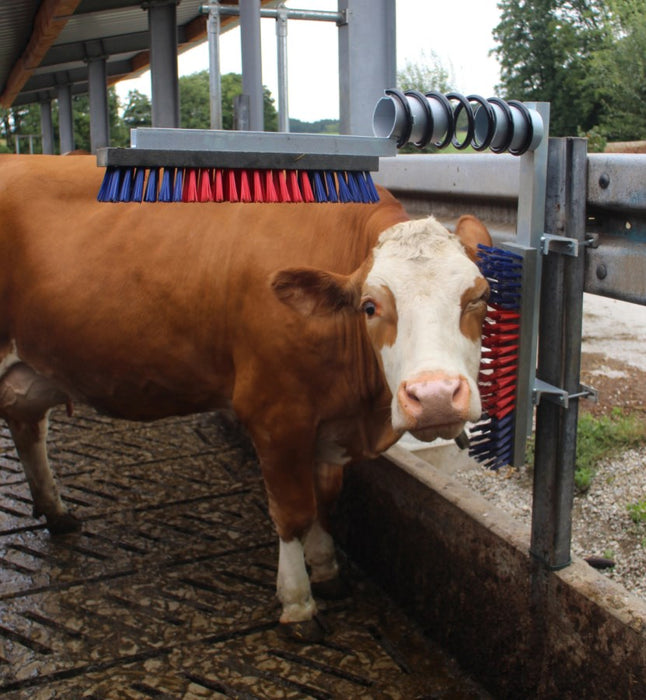 Viehbürste EURO - FARM