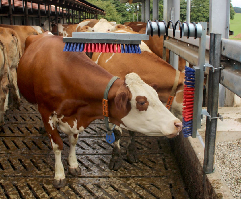 Viehbürste EURO - FARM