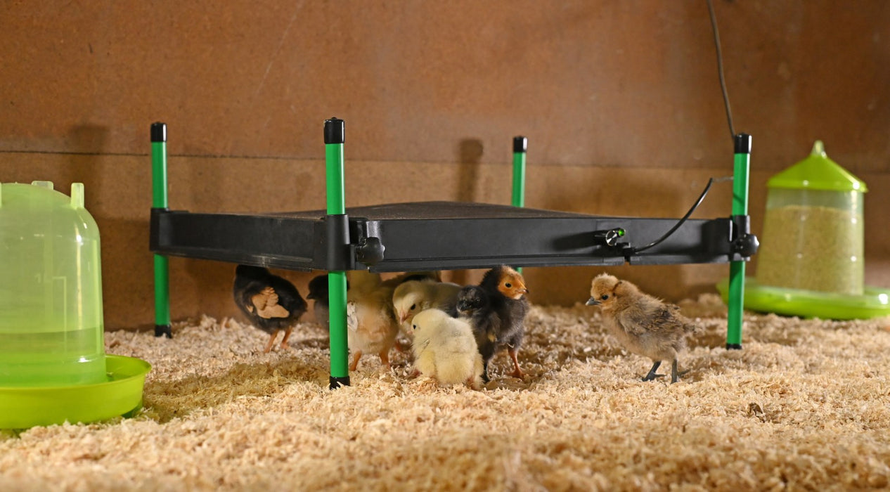 Wärmeplatte CosyHeat