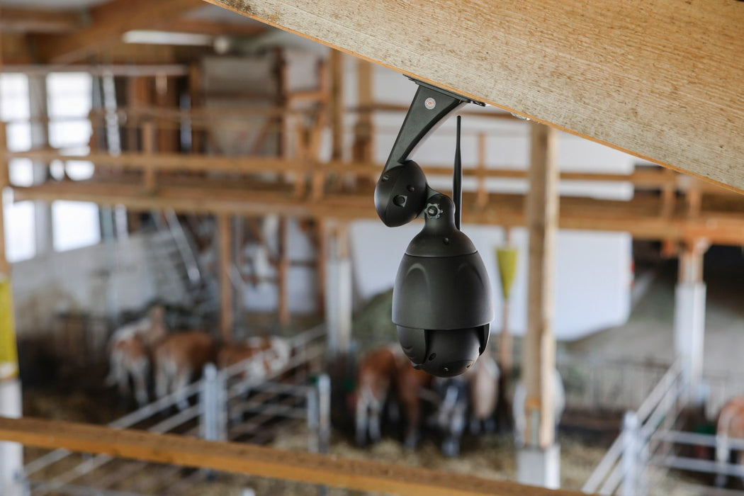 Tier-Überwachungskamera - IPCam 360° FHD 4-fach opt. Zoom