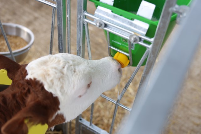 Hygieneventil mit Sauger und Montageschlüssel - 2 Stück