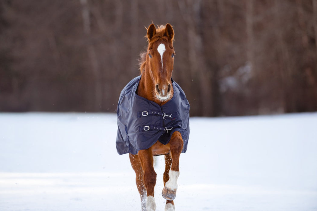 Outdoor-Pferdedecke RugBe Zero – dark navy