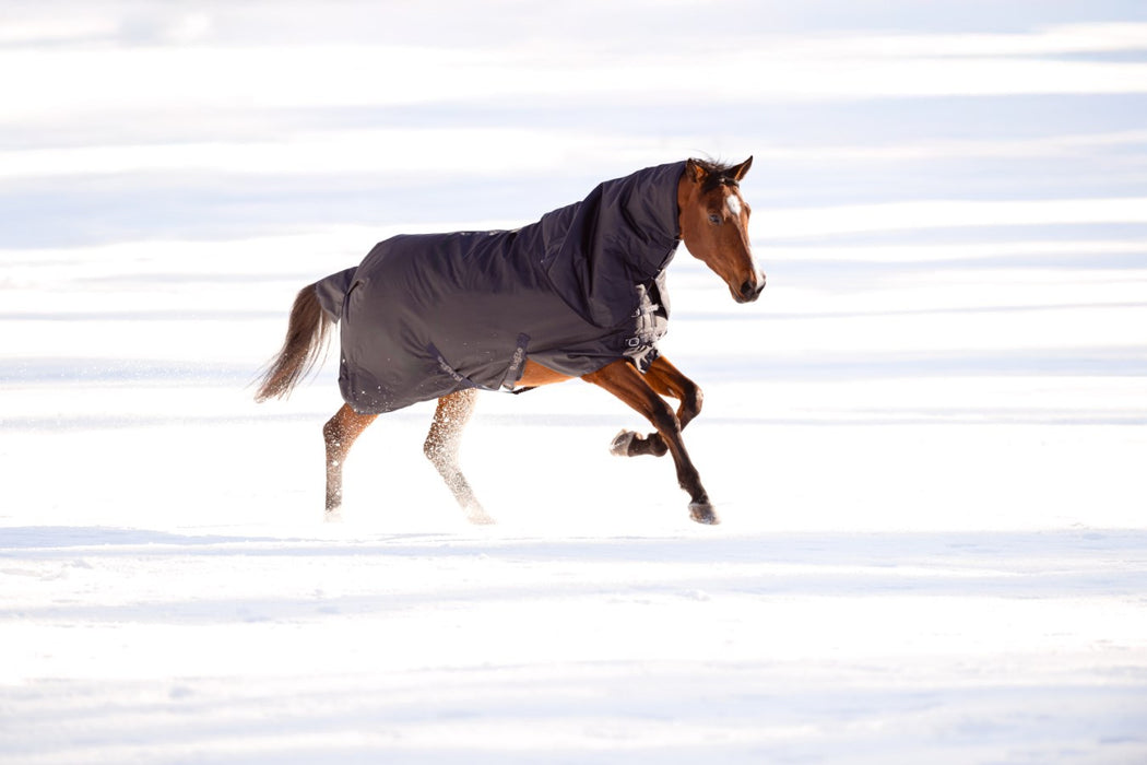 Outdoor-Pferdedecke RugBe Zero – dark navy