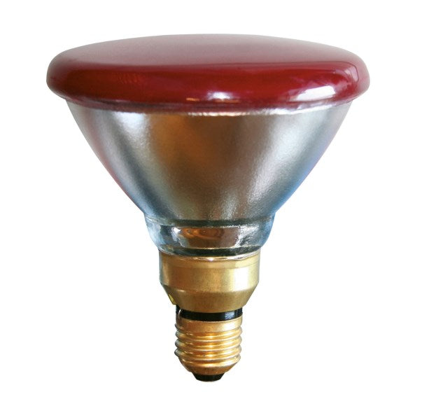 Infrarot Sparlampe 175W rot