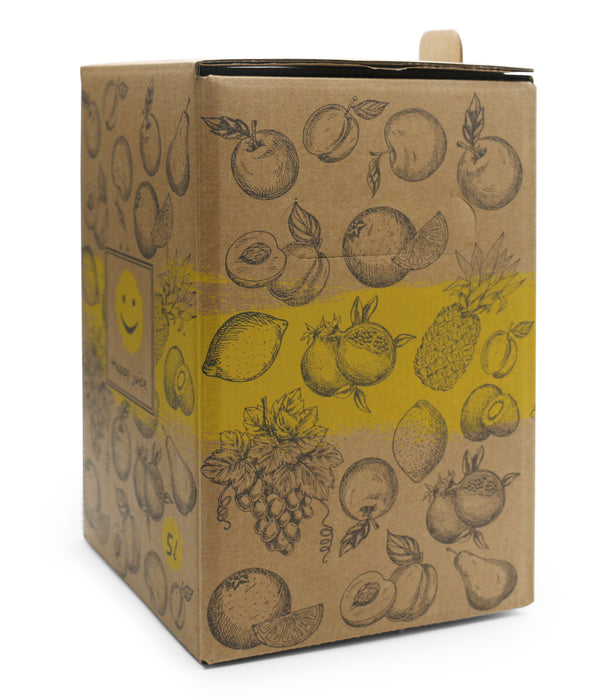 Bag-in-Box Karton – 3L oder 5L – wählbar im 2er- oder 10er-Pack