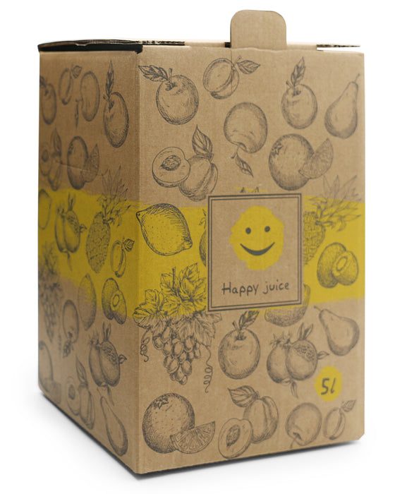 Bag-in-Box Karton – 3L oder 5L – wählbar im 2er- oder 10er-Pack