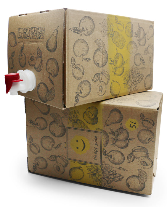 Bag-in-Box Karton – 3L oder 5L – wählbar im 2er- oder 10er-Pack