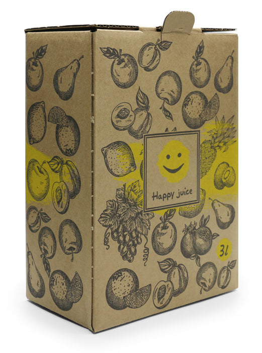 Bag-in-Box Karton – 3L oder 5L – wählbar im 2er- oder 10er-Pack