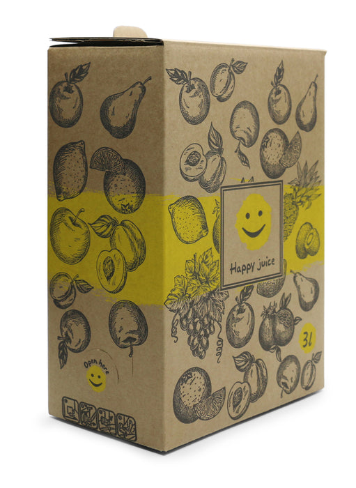 Bag-in-Box Karton – 3L oder 5L – wählbar im 2er- oder 10er-Pack