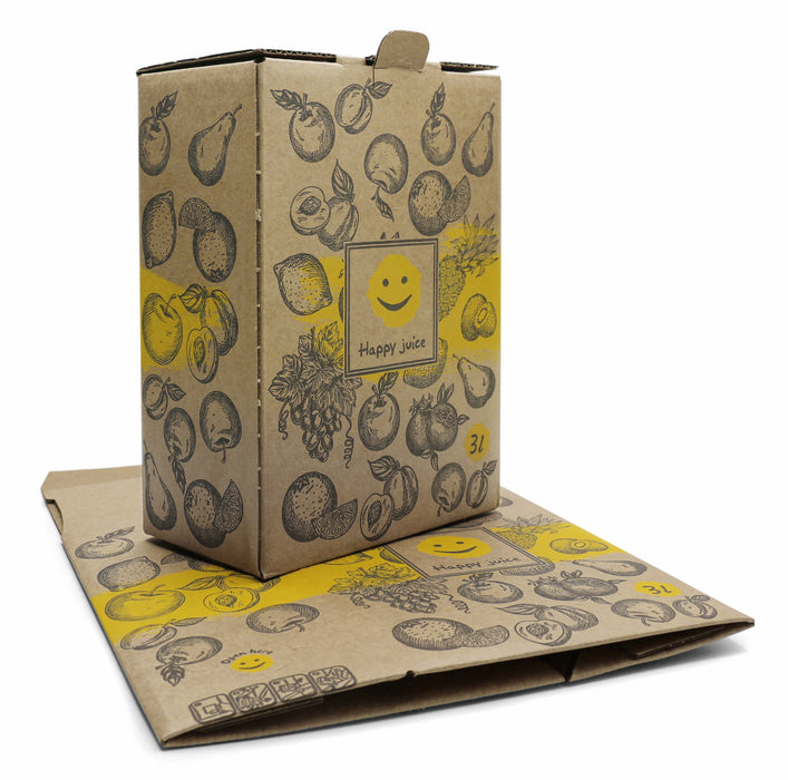 Bag-in-Box Karton – 3L oder 5L – wählbar im 2er- oder 10er-Pack