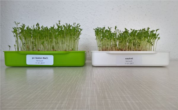 plantavid boden NaCl - 12kg Eimer